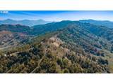  Buckhorn Rd - Photo 24