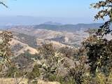  Buckhorn Rd - Photo 29