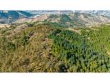  Buckhorn Rd - Photo 3