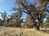  Buckhorn Rd - Photo 33