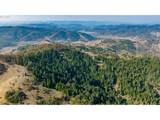  Buckhorn Rd - Photo 6