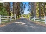 913 Starveout Creek Rd - Photo 26