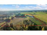 12723 132ND Ave - Photo 32