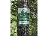 0 Lahar Ln - Photo 13