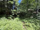 0 Lahar Ln - Photo 4