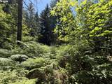 0 Lahar Ln - Photo 5