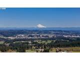 16700 Parrett Mountain Rd - Photo 48