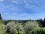 33501 Blaha Rd - Photo 48