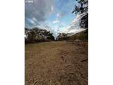 0 Sr 14 - Photo 5