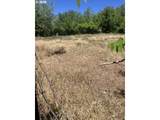 43135 Summit Creek Rd - Photo 1