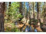 39151 Last Chance Ln - Photo 46