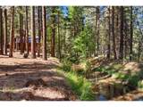 39151 Last Chance Ln - Photo 47