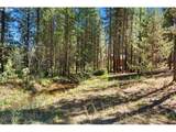 39151 Last Chance Ln - Photo 48