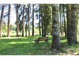 44221 Mckenzie Hwy - Photo 26