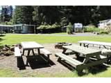 44221 Mckenzie Hwy - Photo 28