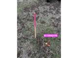 000 Cooney Ln (Parcel 2) Ln - Photo 10