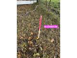 000 Cooney Ln (Parcel 2) Ln - Photo 8