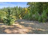 37251 Thimbleberry Dr - Photo 23