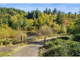 37251 Thimbleberry Dr - Photo 26