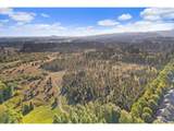 29836 Camelot St - Photo 46