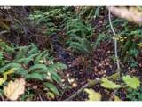 4204 Riverdale Rd - Photo 26