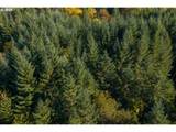 4204 Riverdale Rd - Photo 32