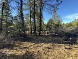  Hummingbird Dr - Photo 12