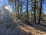  Hummingbird Dr - Photo 13