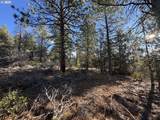 Hummingbird Dr - Photo 16
