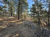  Hummingbird Dr - Photo 18