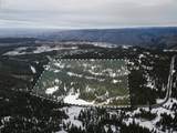  Highway 204 - Photo 1