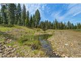 Highway 204 - Photo 11