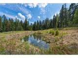  Highway 204 - Photo 12