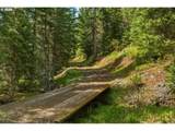  Highway 204 - Photo 14