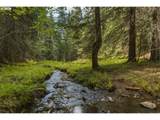  Highway 204 - Photo 15