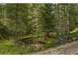  Highway 204 - Photo 16