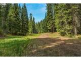  Highway 204 - Photo 19