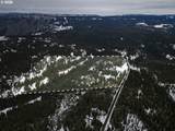  Highway 204 - Photo 2