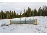 Highway 204 - Photo 5