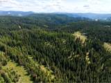  Highway 204 - Photo 9