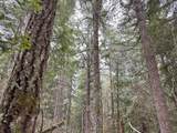 75325 Mosby Creek Rd - Photo 45