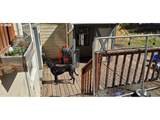 156 Ash St - Photo 14