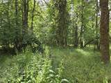 161 Cannavina Pvt Rd - Photo 4