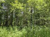 161 Cannavina Pvt Rd - Photo 6