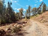  Hult Rd - Photo 12