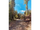  Hult Rd - Photo 13