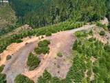 0 Upper Cow Creek Rd - Photo 10