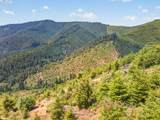 0 Upper Cow Creek Rd - Photo 16