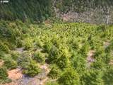 0 Upper Cow Creek Rd - Photo 17