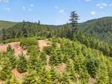0 Upper Cow Creek Rd - Photo 20